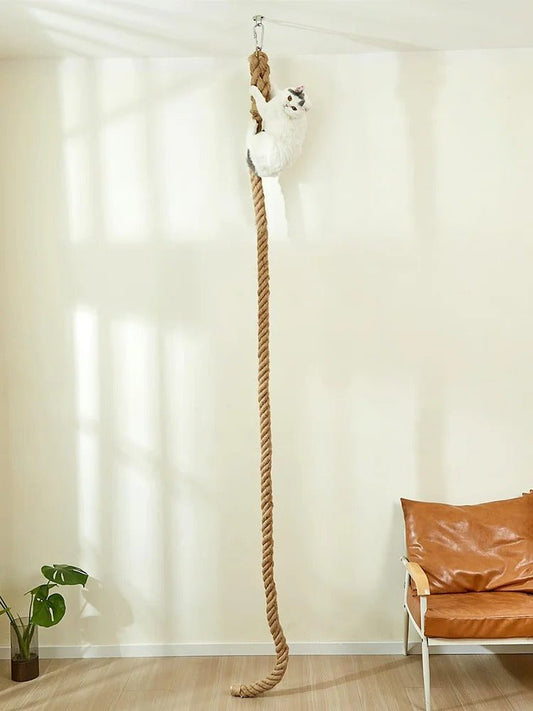 minet grimpé en haut griffoir pour chat design EscalCat