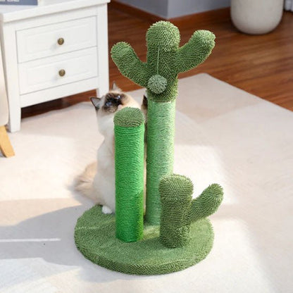 griffoir vertical chat cactus vue arrière stabilité