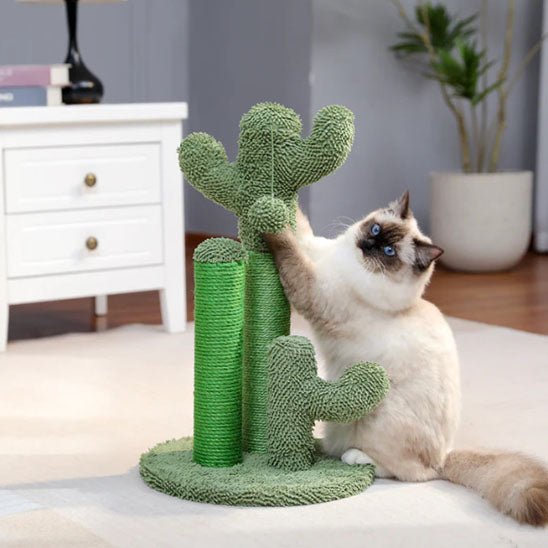 griffoir vertical chat cactus griffage étirement