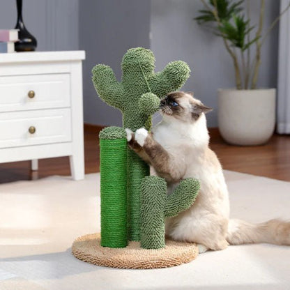 griffoir vertical chat cactus stimulation jeu