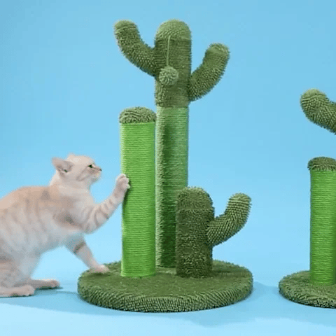 griffoir vertical chat cactus intéractif jeu mouvement
