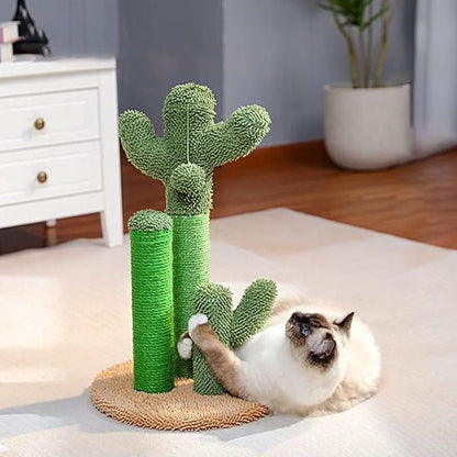 griffoir vertical chat cactus utilisation quotidienne intérieur