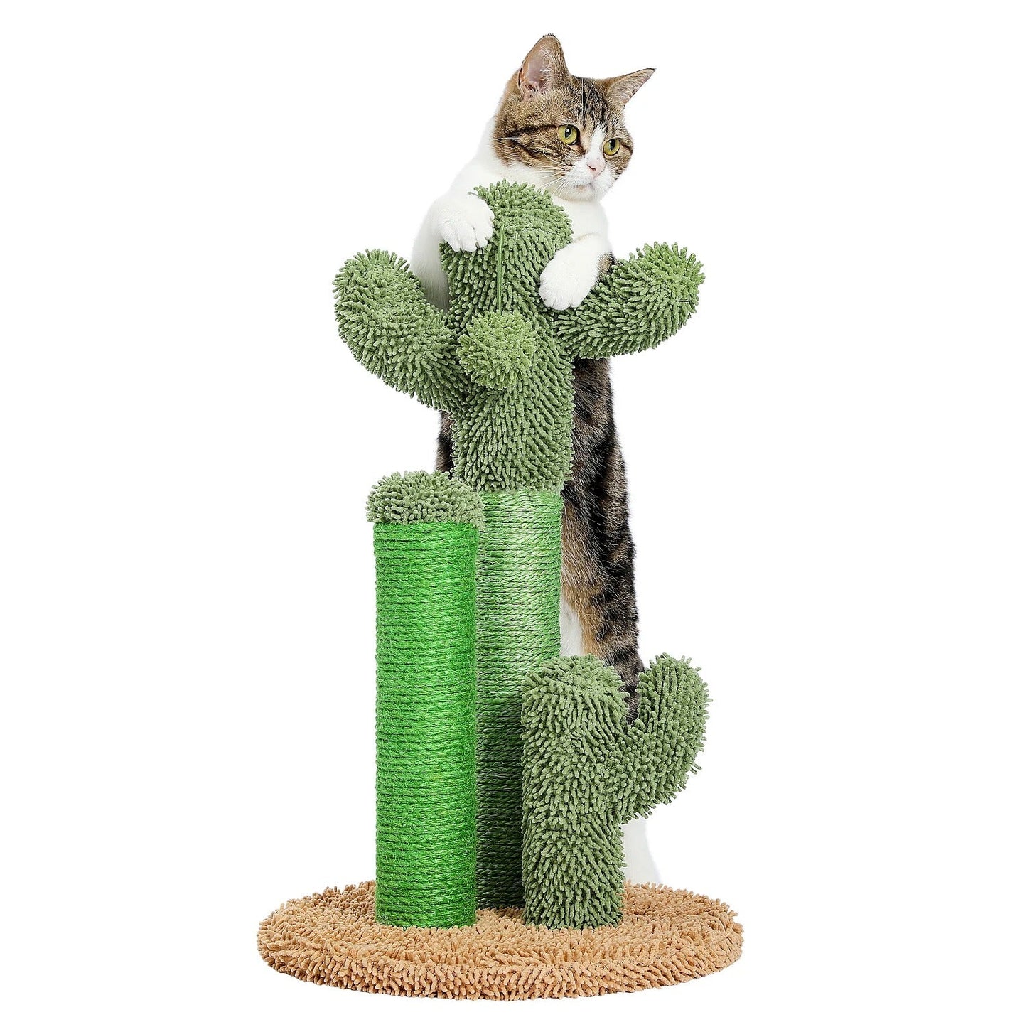 griffoir vertical chat cactus marron en situation