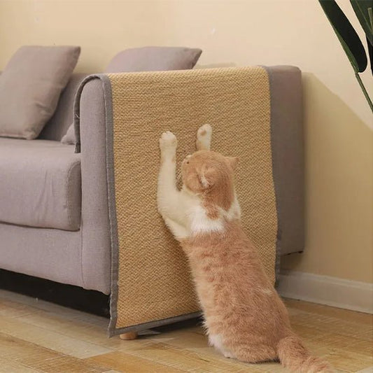 chat fait griffes sur griffoire chat installé dessus canapé ChatCroc