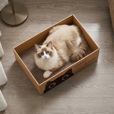 chat allongé dans une griffoire chat en carton confortable dans un intérieur lumineux