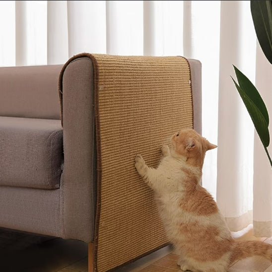 Chat utilisant un griffoir vertical sur le canapé
