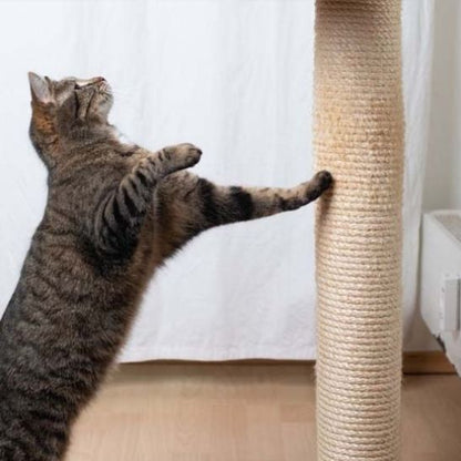 Griffoire Chat | Sisal Naturel - Passion Murale