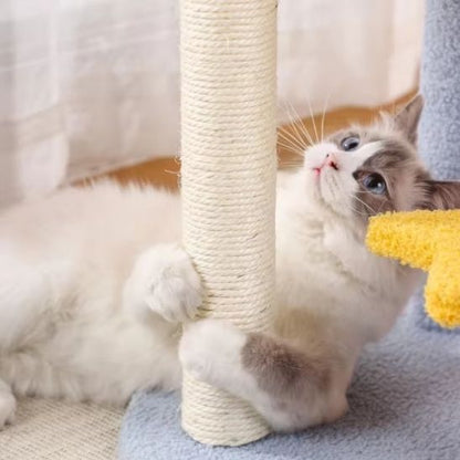 Griffoire Chat | Sisal Naturel - Passion Murale