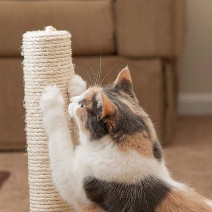 Griffoire Chat | Sisal Naturel - Passion Murale