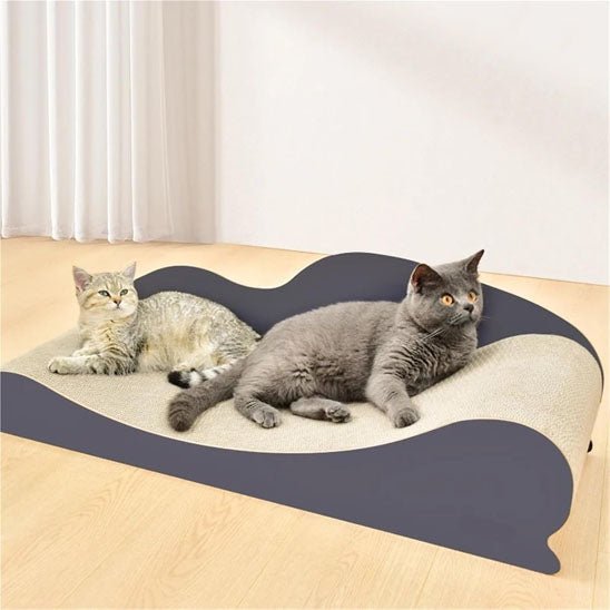 griffoir chat design grande taille pour plusieurs chats