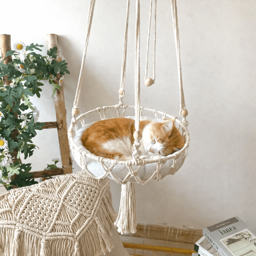hamac à chat confortable chat epose dans hamac
