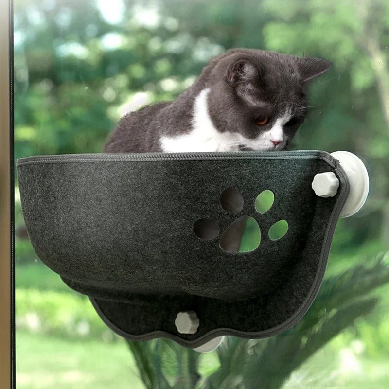 hamac à chat fenêtre chat confortablement installé