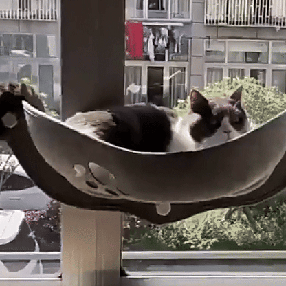 hamac à chat fenêtre video utilisation