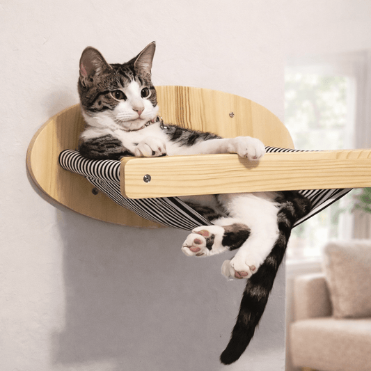 hamac à chat mural chat allongé repos confortable