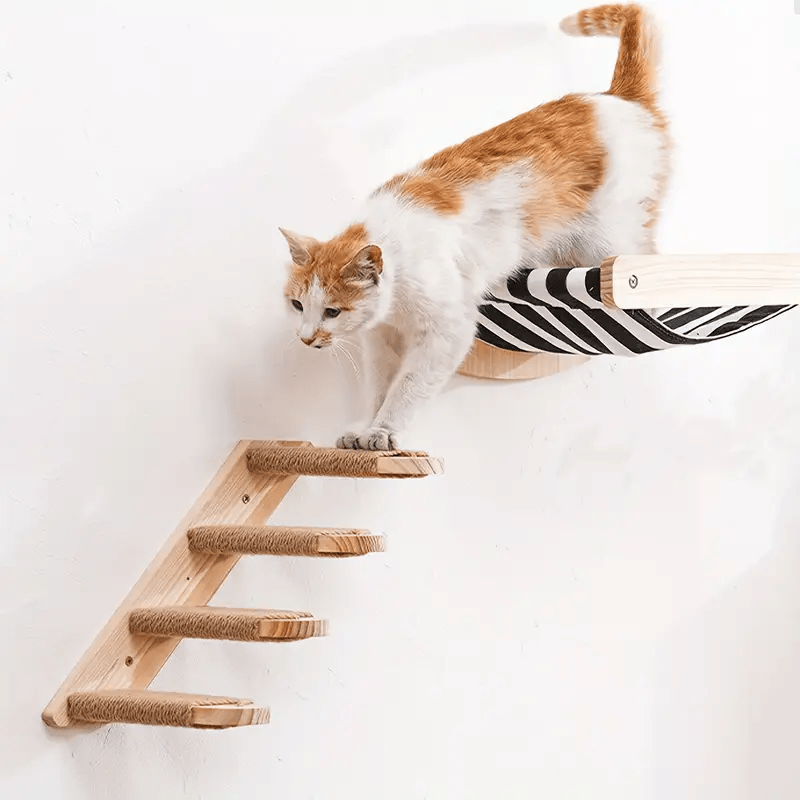 hamac à chat mural avec escalier parcours mural chat
