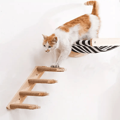 hamac à chat mural avec escalier parcours mural chat