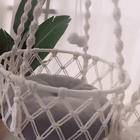 hamac à chat suspendu gif utilisation et mouvement