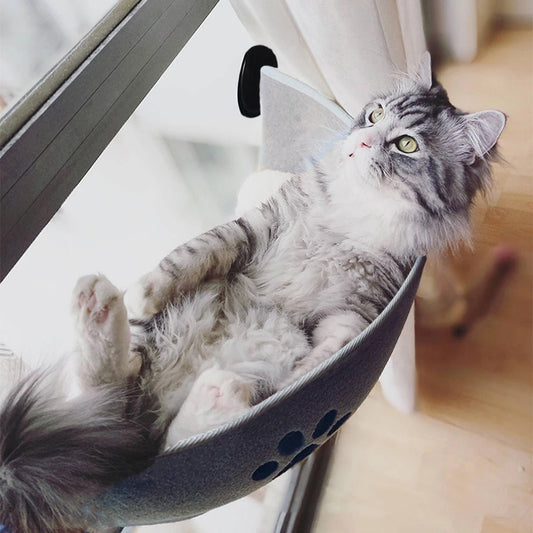 chat couché dessus dos dedans hamac à chat