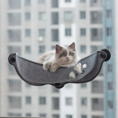 chat couché confortablement dedans hamac à chat fenêtre