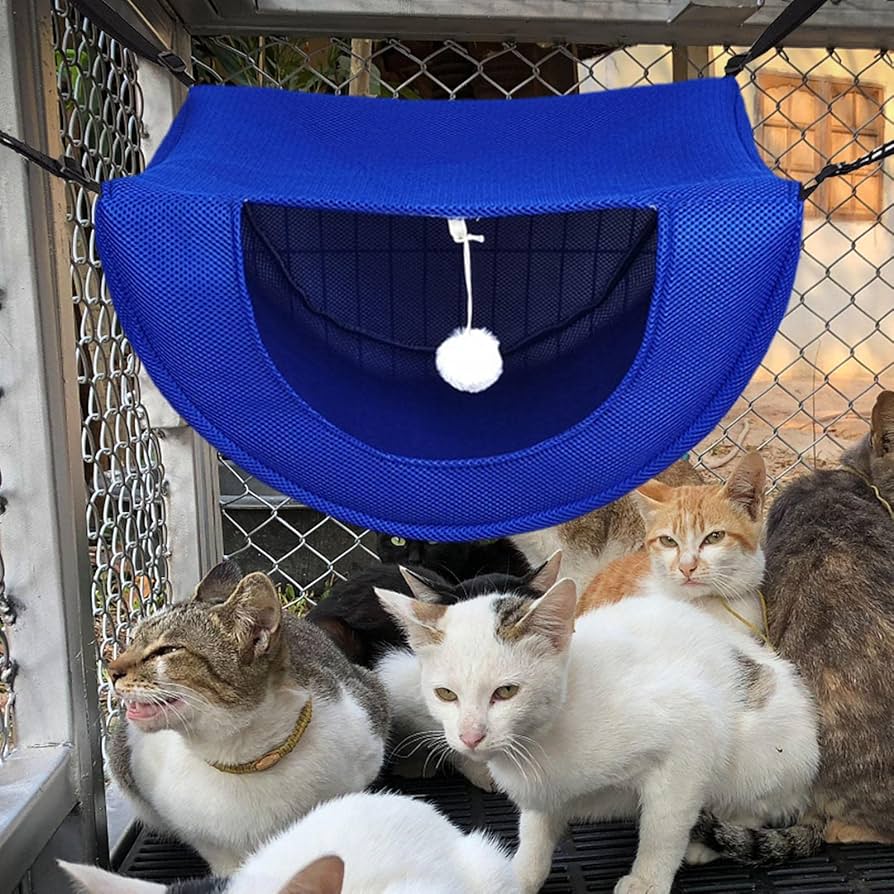 HAMAC CHAT - LESUBLIME - Passion Murale