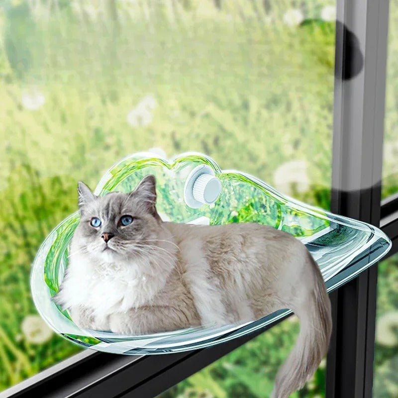 hamac chat mural transparent