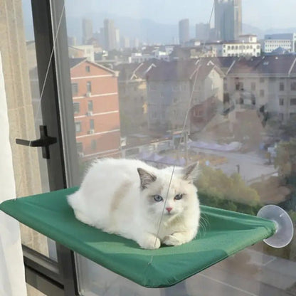 chat couché dessus hamac vert