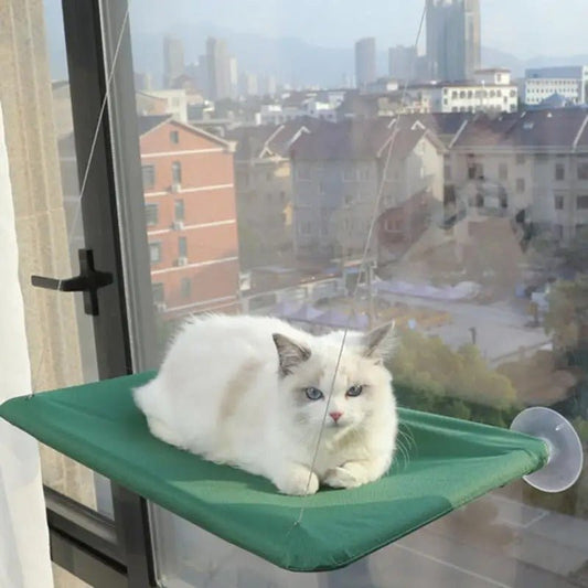 chat couché dessus hamac vert