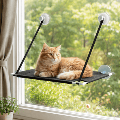 hamac chat fenêtre simple avec chat roux en hauteur