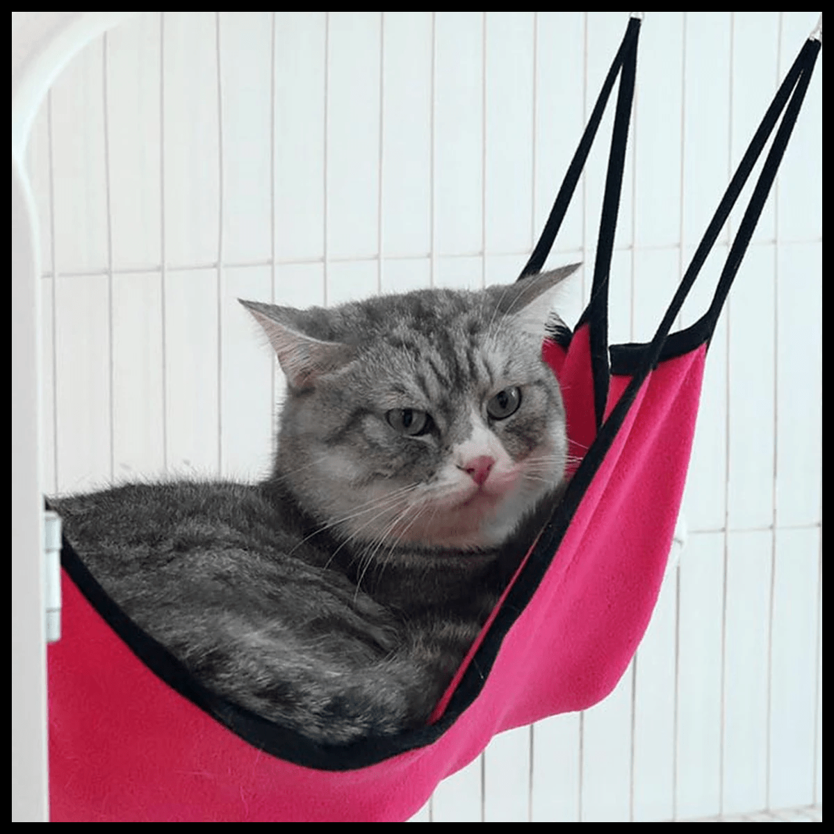 HAMAC CHAT - TOPCOSY - Passion Murale
