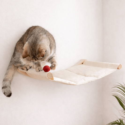 hamac mural chat bois coussin blanc gain de place