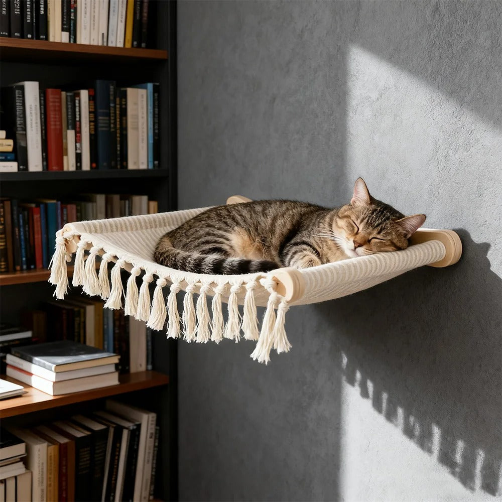 Chat tigré endormi dans un hamac mural en macramé, fixé sur un mur gris près d'une bibliothèque.