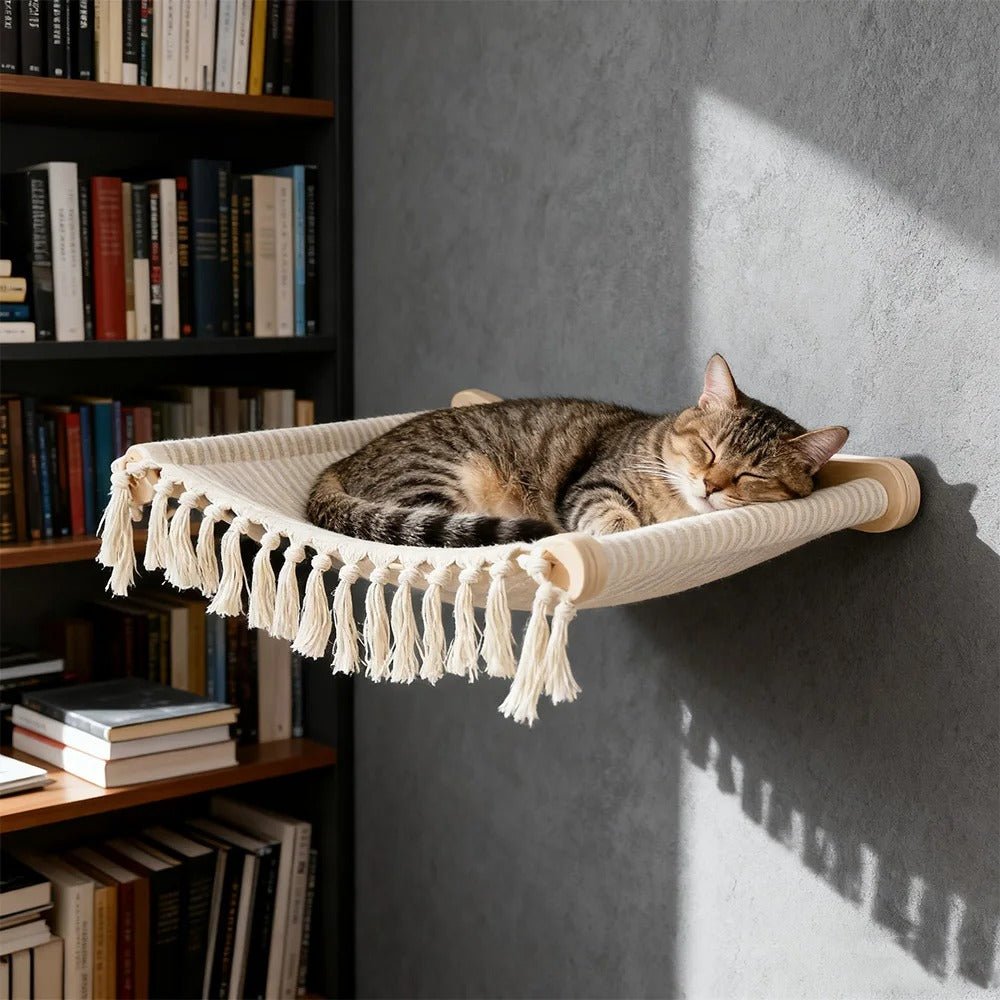 😻 Hamac mural chat – Design bohème et espace en hauteur - Passion Murale