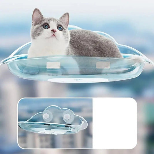 chat gris blanc couché hamac fenêtre