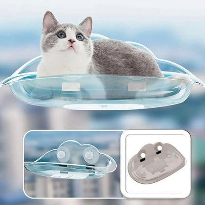 chat relax dans hamac mural chat bleu transparent Douce Vue