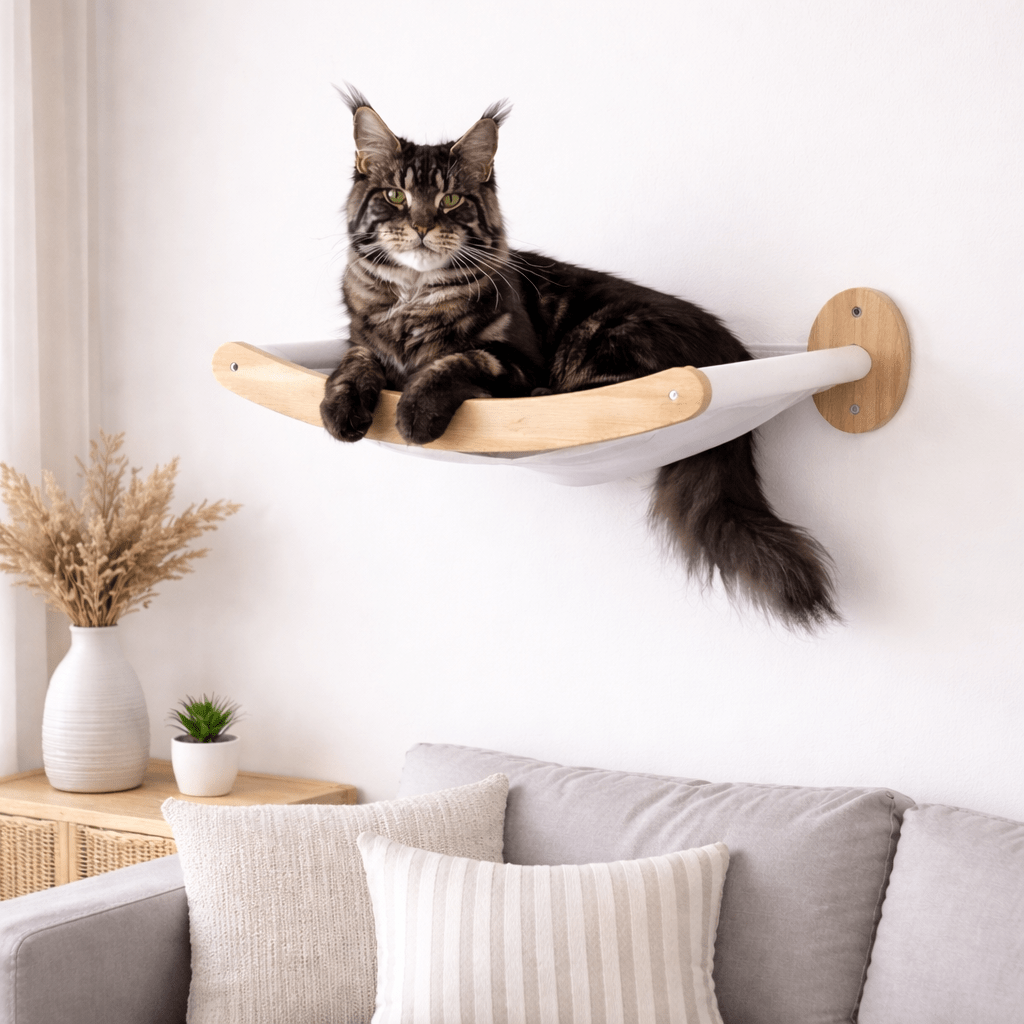hamac mural chat robuste avec chat grande taille