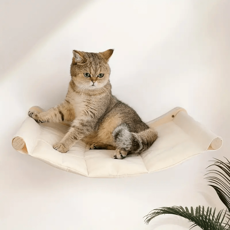 gros minet bien assis dessus hamac mural chat NidZen