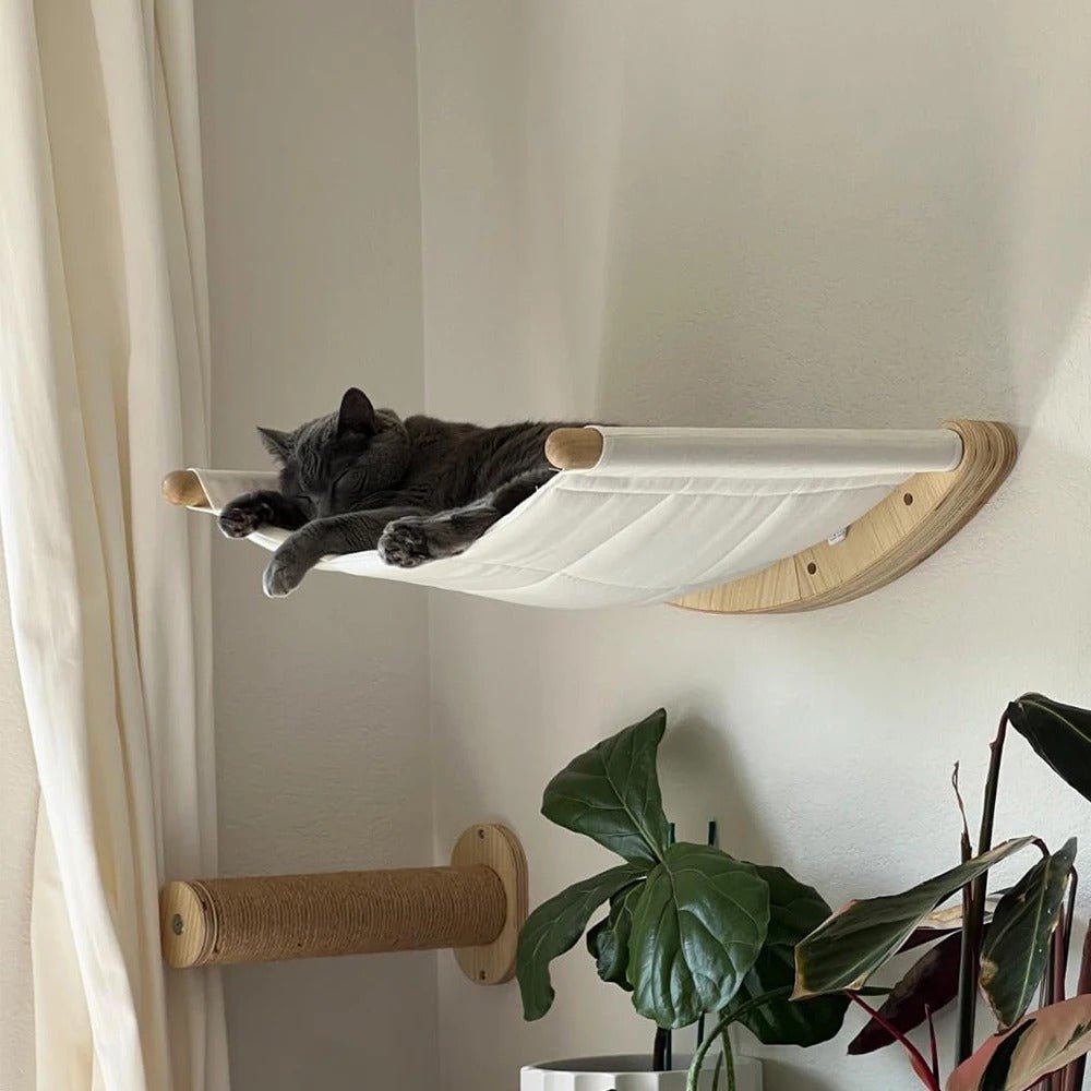 minou gris endormis dessus hamac mural chat blanc NidZen