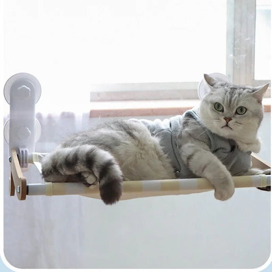 gros chat couché dessus hamac rectangle