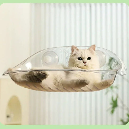 chat couché confortablement dedans hamac