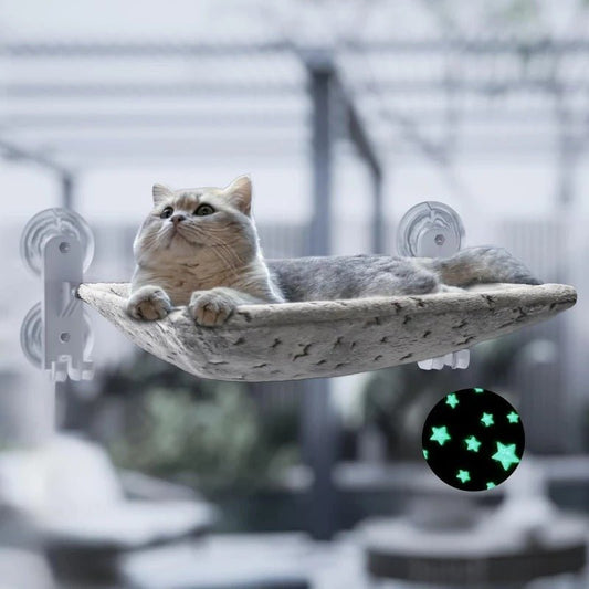 beau chat couché dedans hamac fenêtre