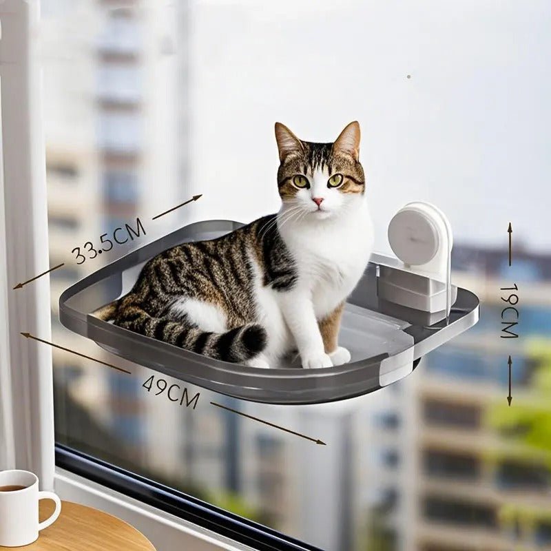 chat assis dedans hamac fenêtre noir