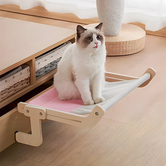 chat assis hamac installé bord lit