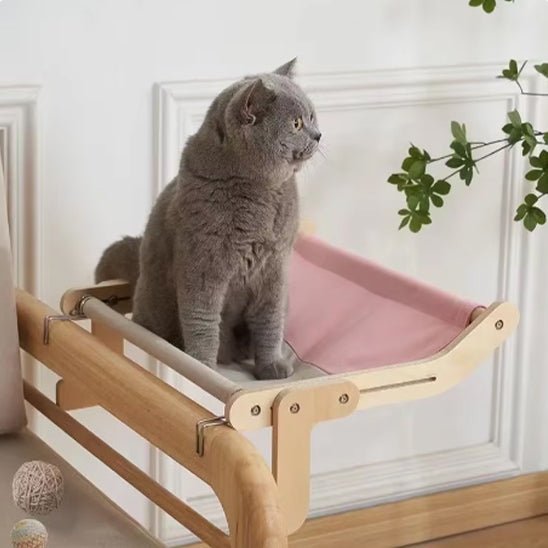 Gros chat gris assis dans un hamac pour chat rose