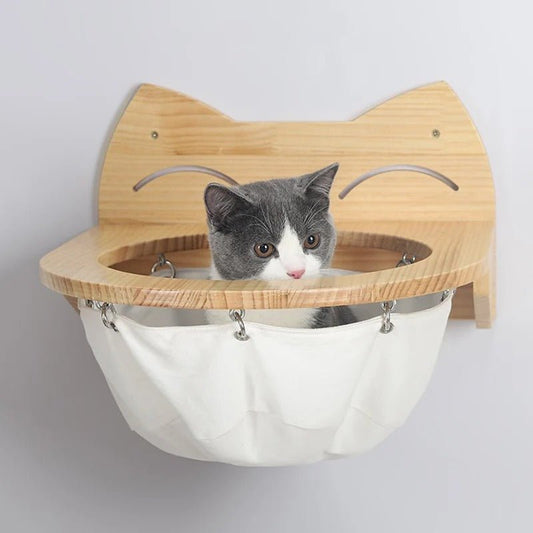 chaton mignon assis dedans hamac mural pour chat