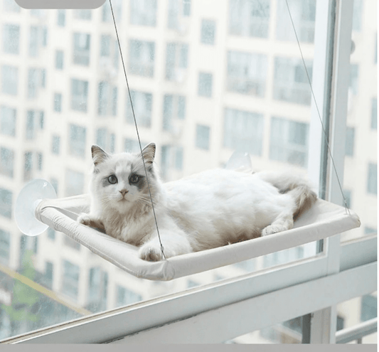 hamac pour chat beige