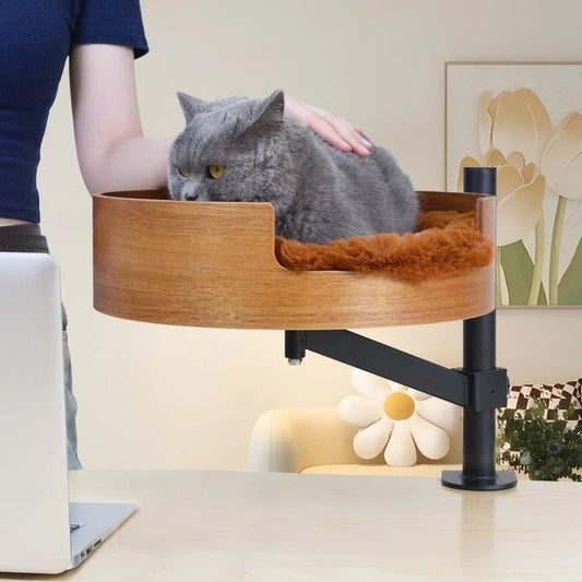 lit flottant bois installé bureau chat dors dedans