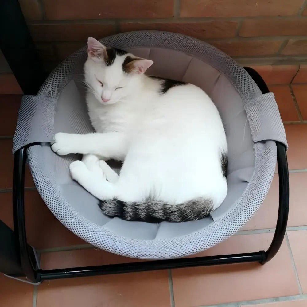 hamac pour chat vue dessus cocon confortable