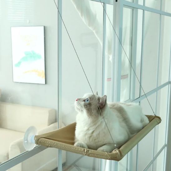 hamac pour chat fenêtre vue panoramique