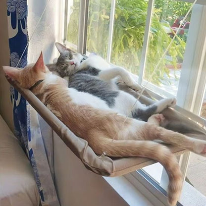 hamac pour chat fenêtre supporte plusieurs chats