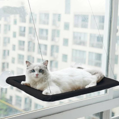 hamac pour chat fenêtre noir avec chat